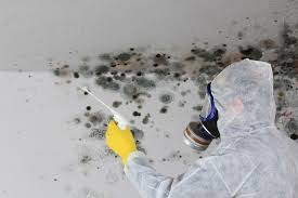 Best Airborne Mold Testing  in Elkhorn, CA